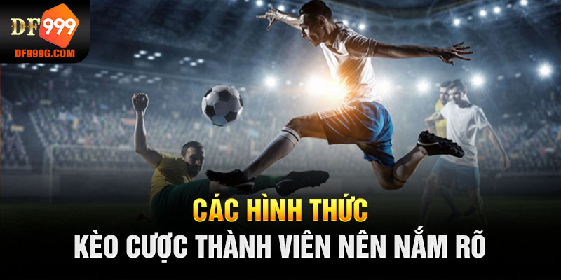 Các hình thức kèo cược thành viên nên nắm rõ