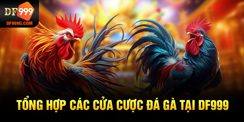 Tổng hợp các cửa cược đá gà tại DF999